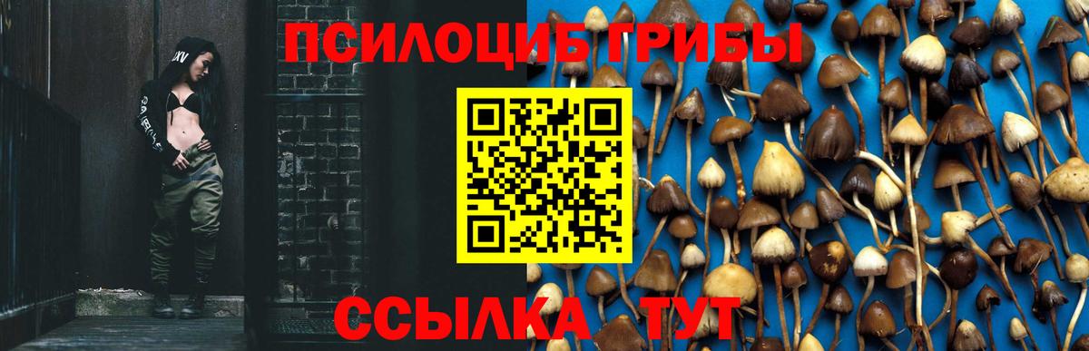 Галлюциногенные грибы прущие грибы  Вход с VPN  Новочебоксарск  Галлюциногенные грибы ЛСД 